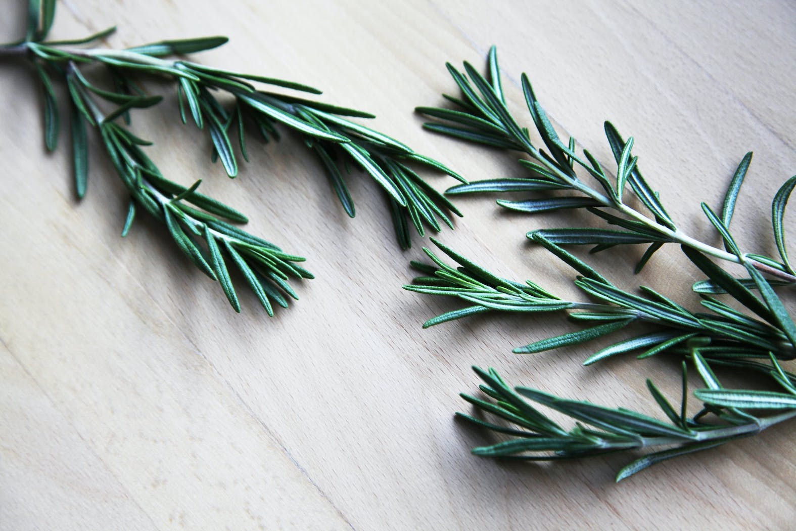 sprigs of fresh rosemary