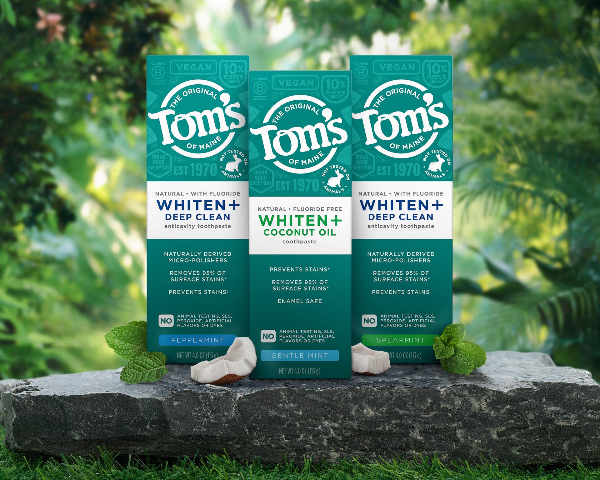 Tom's of Maine Whiten+ Deep Clean and Whiten+ Coconut Oil toothpastes displayed on a stone surface with fresh mint leaves and coconut, set against a lush green forest background.